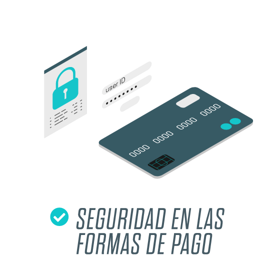 SEGURIDAD EN LAS <br />FORMAS DE PAGO